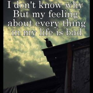 Meet your Posher, Billiy